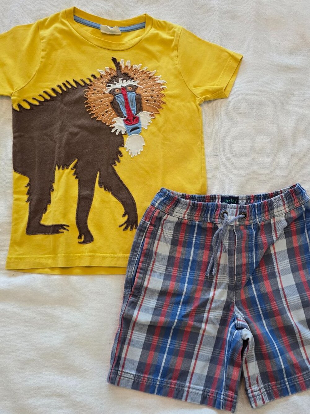 4-5Y Mini Boden Applique shirt and checkered shorts Set